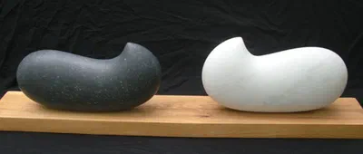 black and white mangoes