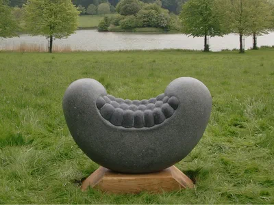 black bee bean