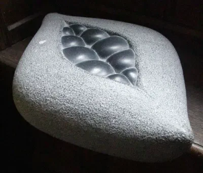 black lilypod