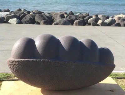 boulder bean