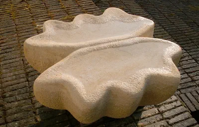 clamshells