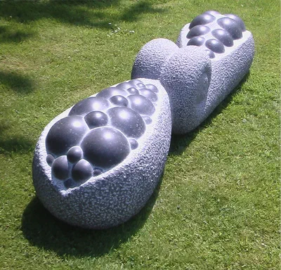 friendly fruiting forms
