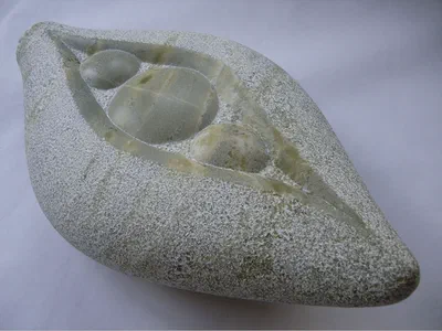 green lilypod