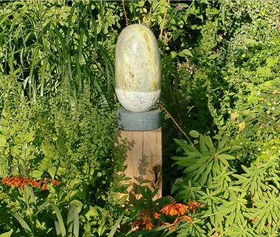 irish acorn II