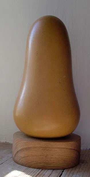 jaisalmer butternut