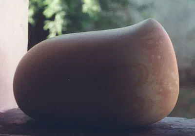 mambrui mango