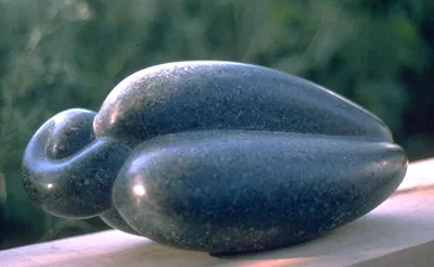 poly pod