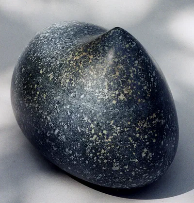 polyphant mango