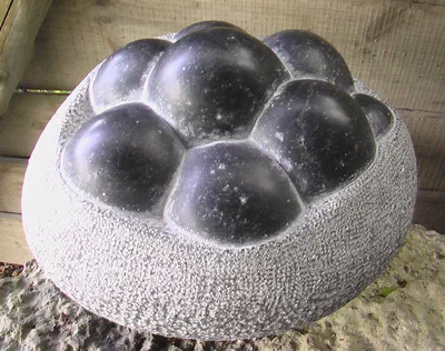 sack of black fruit