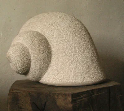 sparkly white shell