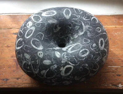 Black Hole Dark Matter