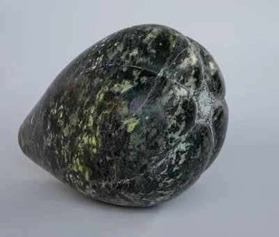 Delhi Melon