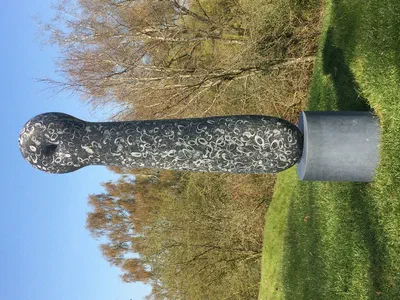 Cosmic Moon Tree