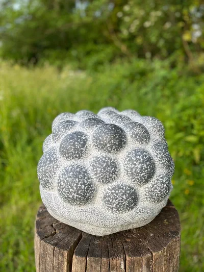 Sack of Ripe Custard Apples