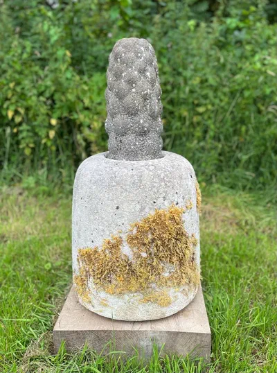Seedsown in Humblestone