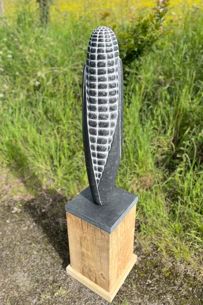 Mexican Maize
