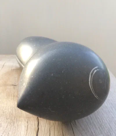 New Moon Bean